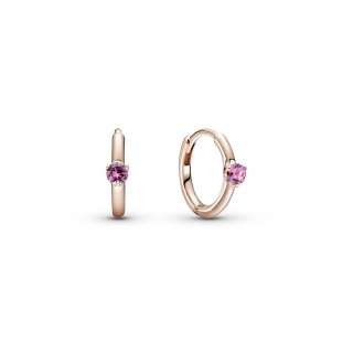 Garnet outlet earrings pandora