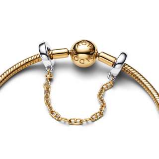 Elongated Safety Chain