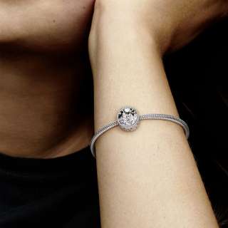 Harry Potter, Hogwarts School of Witchcraft and Wizardry Charm