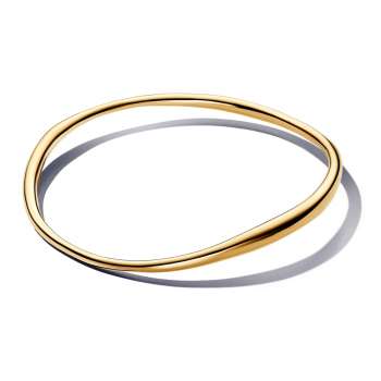 Органски обликувана Bangle белегзија 