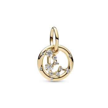 Aquarius Zodiac Dangle Charm 