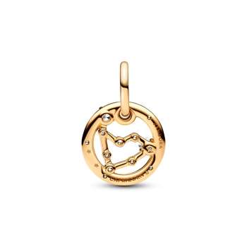 Capricorn Zodiac Dangle Charm 