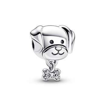 Pet Dog & Bone Charm 