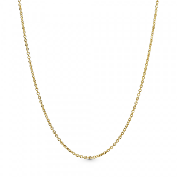 Синџирче Pandora Shine