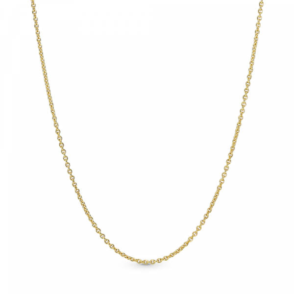 Синџирче Pandora Shine