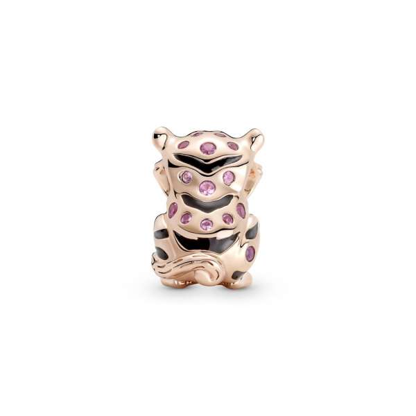Chinese Tiger Charm 