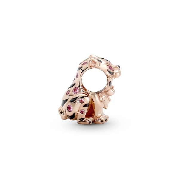 Chinese Tiger Charm 