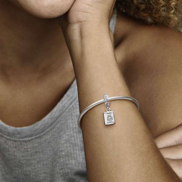 Pandora timeless elegance charm hotsell