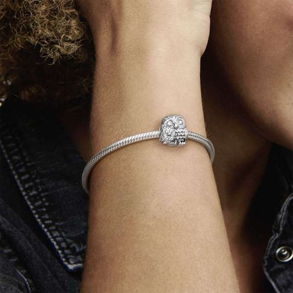 Mother Owl and Baby Owl Charm PANDORA