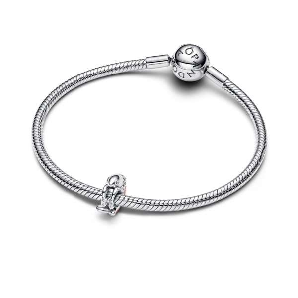 Shrimp Charm