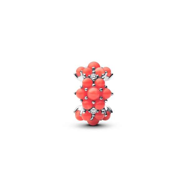 Coral-coloured Ocean Charm