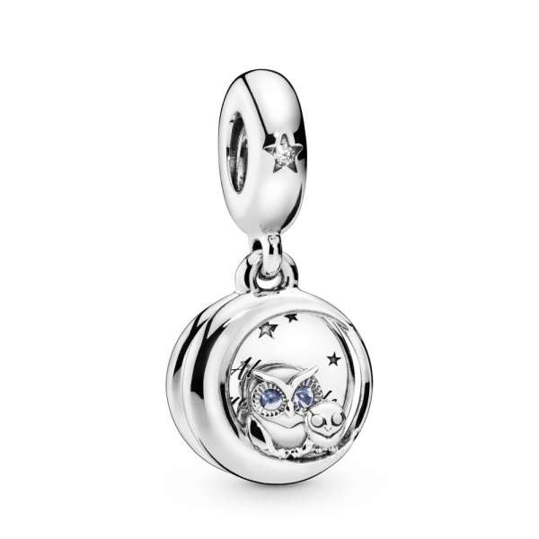 Always by Your Side Owl Dangle Charm 