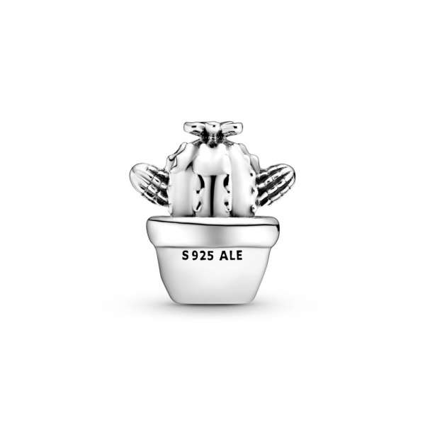 Free Hugs Cactus Charm 