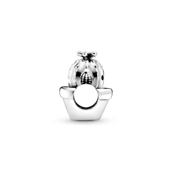 Free Hugs Cactus Charm 