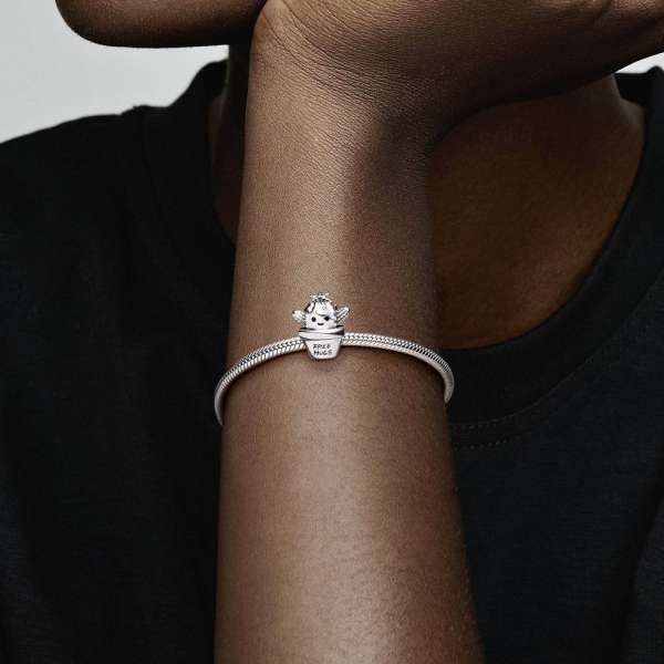 Cactus charm pandora online