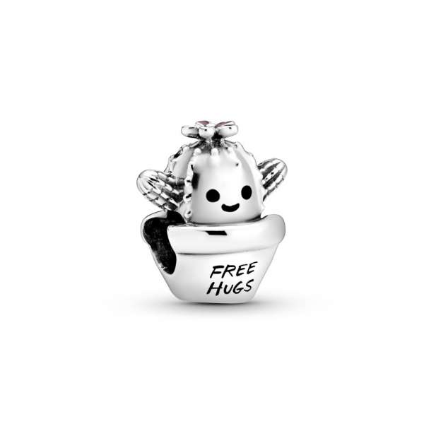 Free Hugs Cactus Charm 