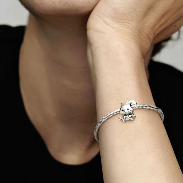 Cute Squirrel Charm 