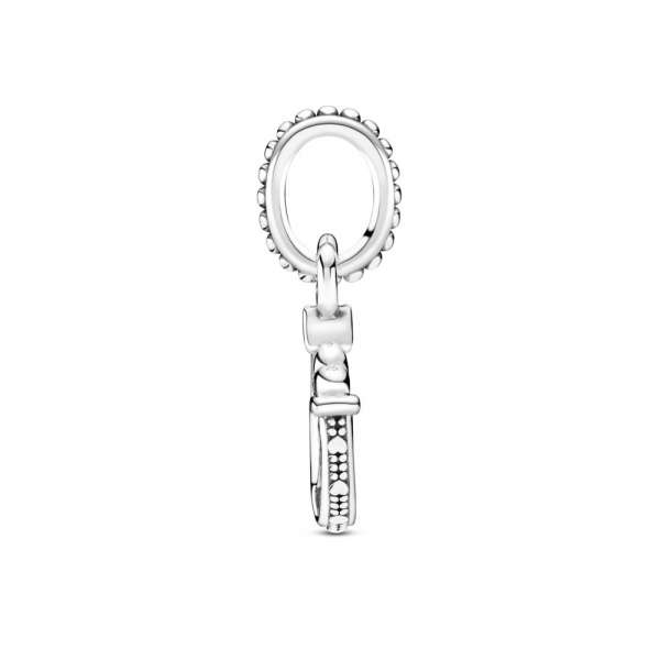 Good Luck Horseshoe Dangle Charm 