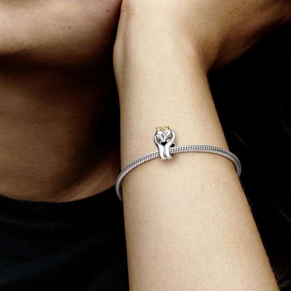 Two-tone Swans & Heart Charm 