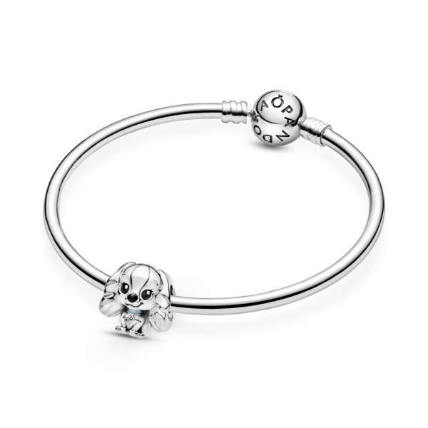Disney Lady Charm 