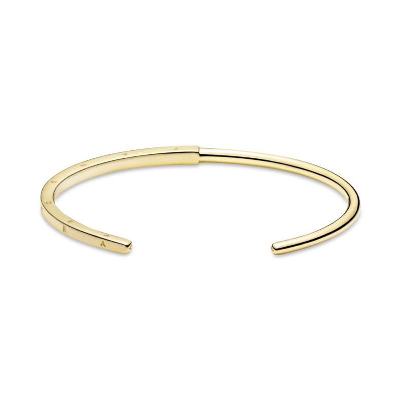 Тврда белегзија Pandora Signature I-D