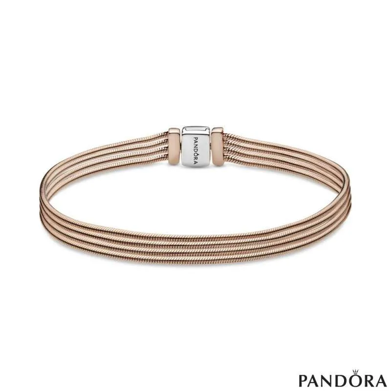 Pandora Reflexions Белегзија од Повеќе Сајли