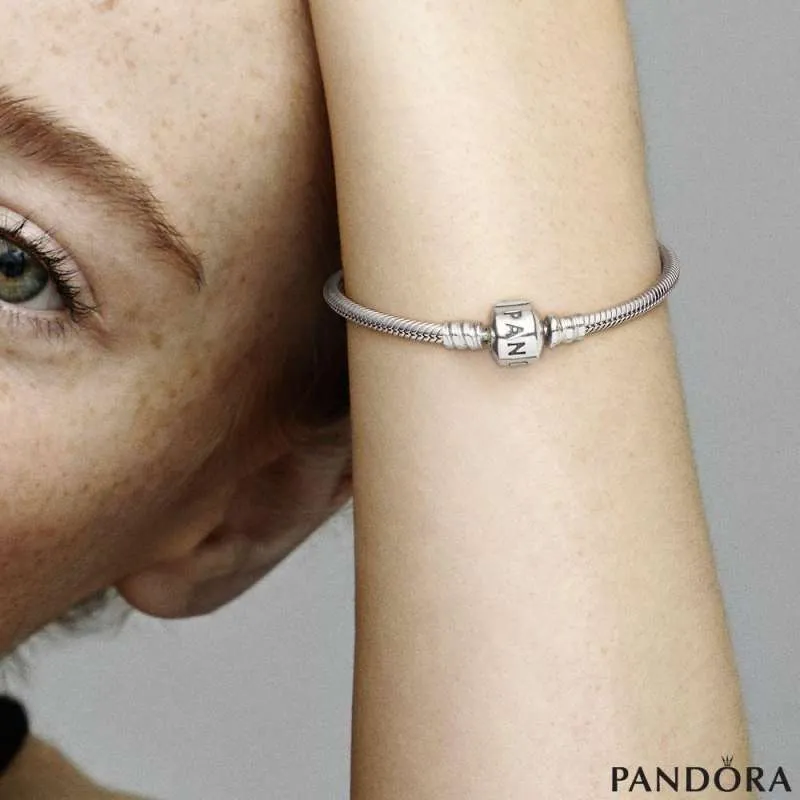 Amazon.com: PANDORA Jewelry Iconic Moments Snake Chain Charm 14K Bracelet,  7.1