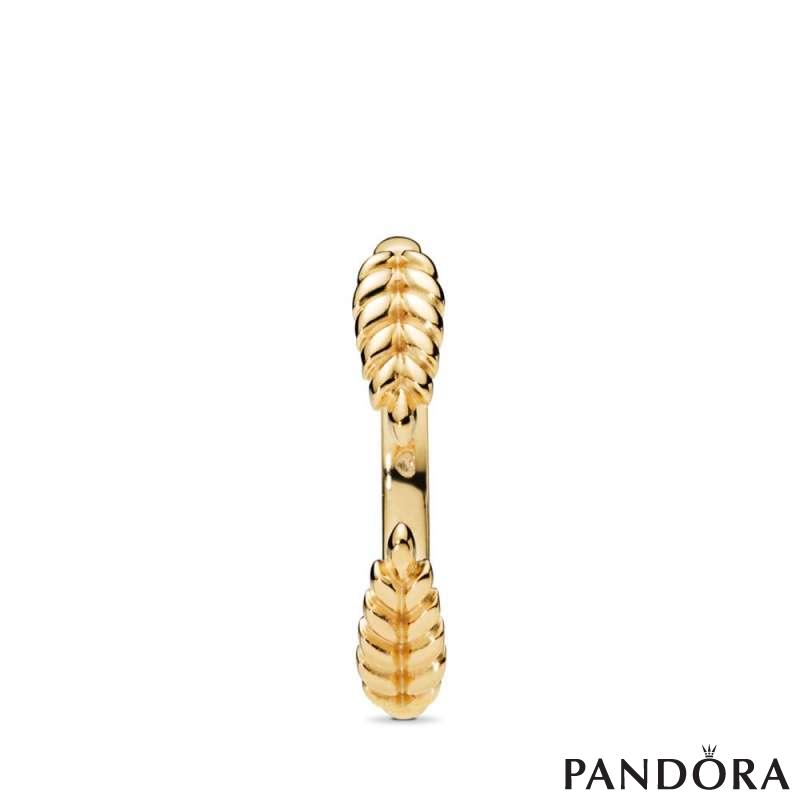 Open Grains PANDORA