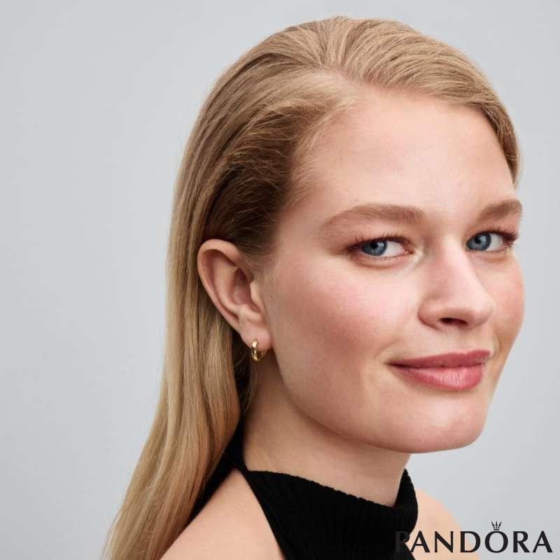 Twisted Hoop Earrings