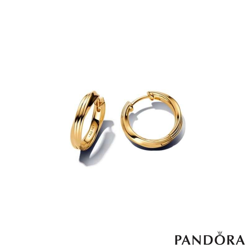 Twisted Hoop Earrings
