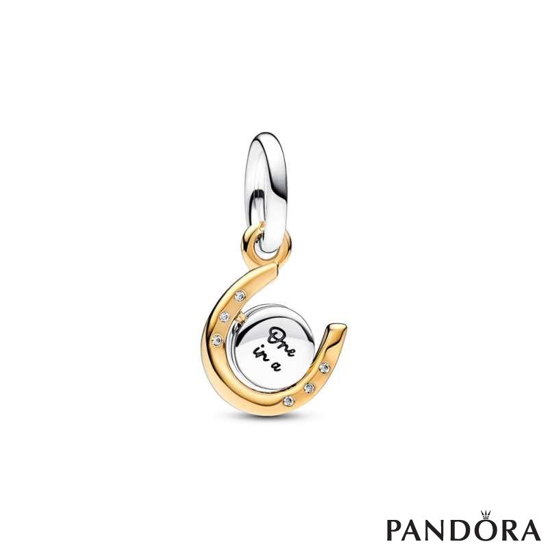 Two-tone Spinning Disc Horseshoe Dangle Charm 