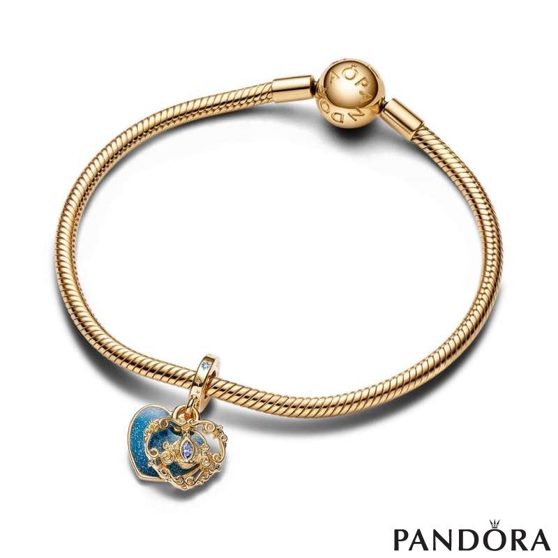 A dream is a wish your heart makes pandora charm hotsell
