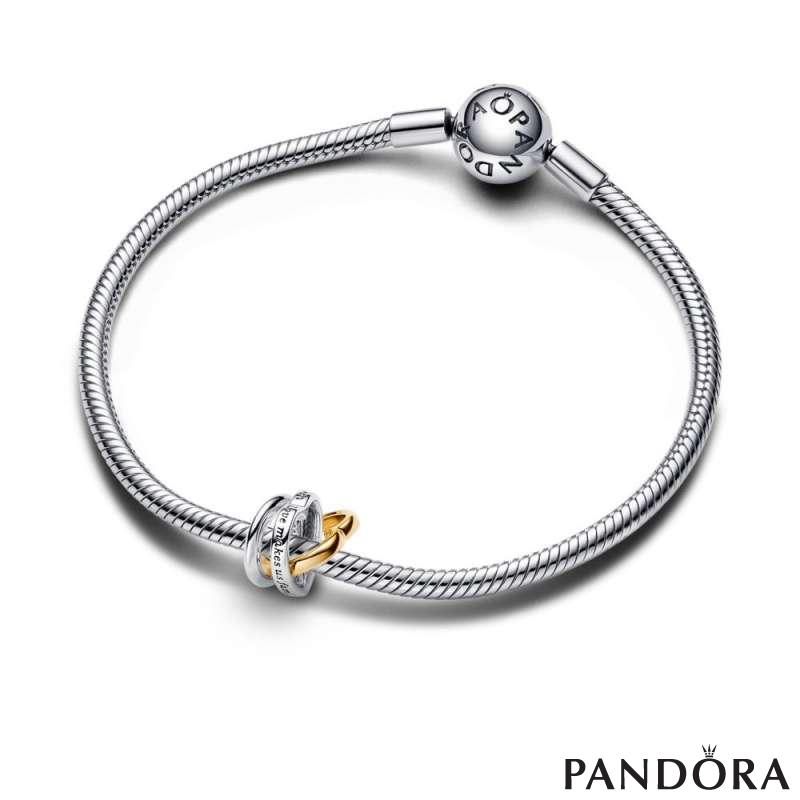 Step mum pandora charm outlet