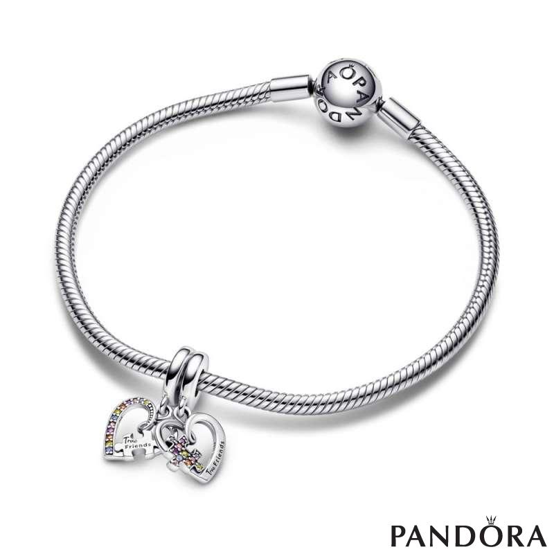 Friendship earrings deals pandora