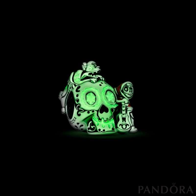Disney Pixar Coco Miguel & Dante Skull Glow-in-the-dark Charm 