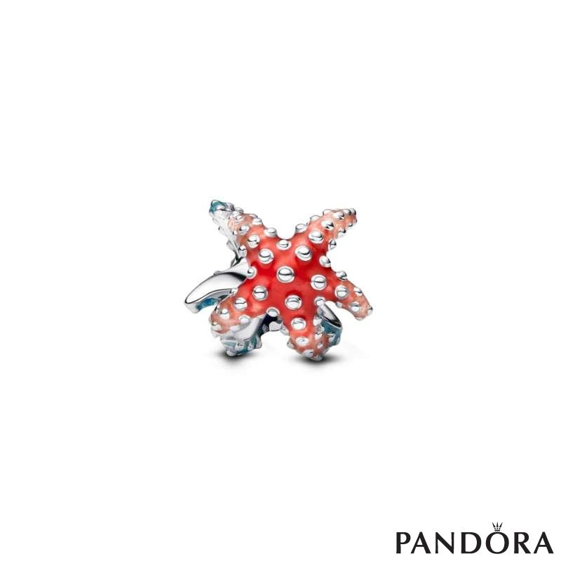 Colourful Starfish Mini Charm