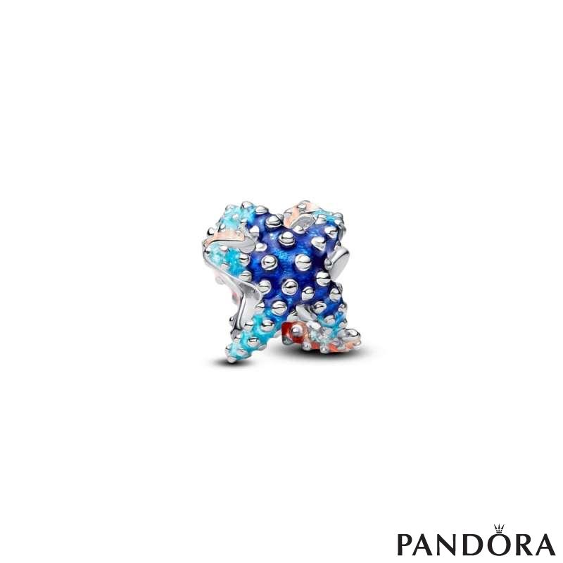 Colourful Starfish Mini Charm