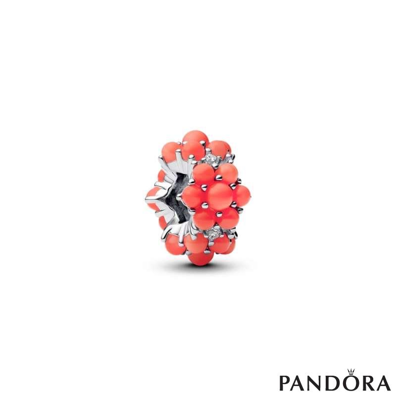 Coral-coloured Ocean Charm