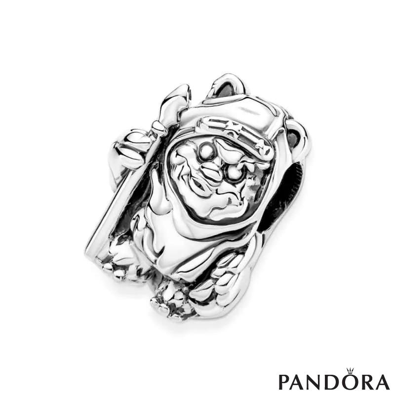Привезок Star Wars™ Ewok™