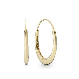 Chunky Hoop Earrings