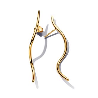 Обетки 263287C00, Essence